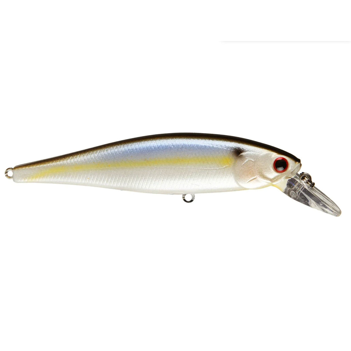 Pearl Threadfin Shad