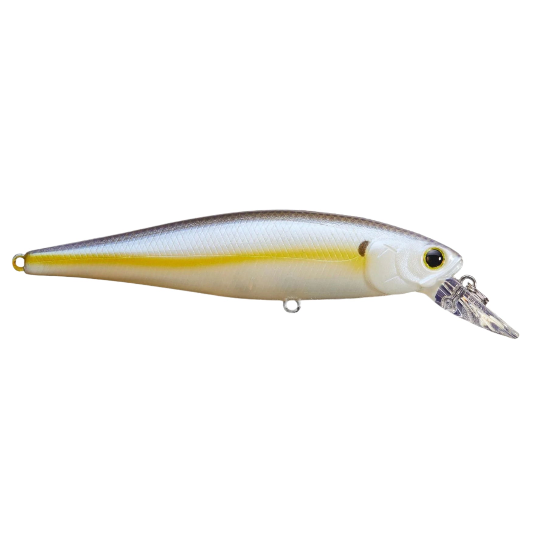 chartreuse shad