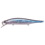 A silver and blue scaled fishing lure with a dark top stripe, shown on a white background with the text 'Aurora Black' underneath.