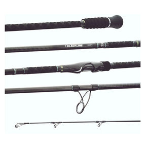 Daiwa 24 BlackLine Surf Rod