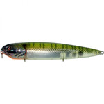 Bluegill