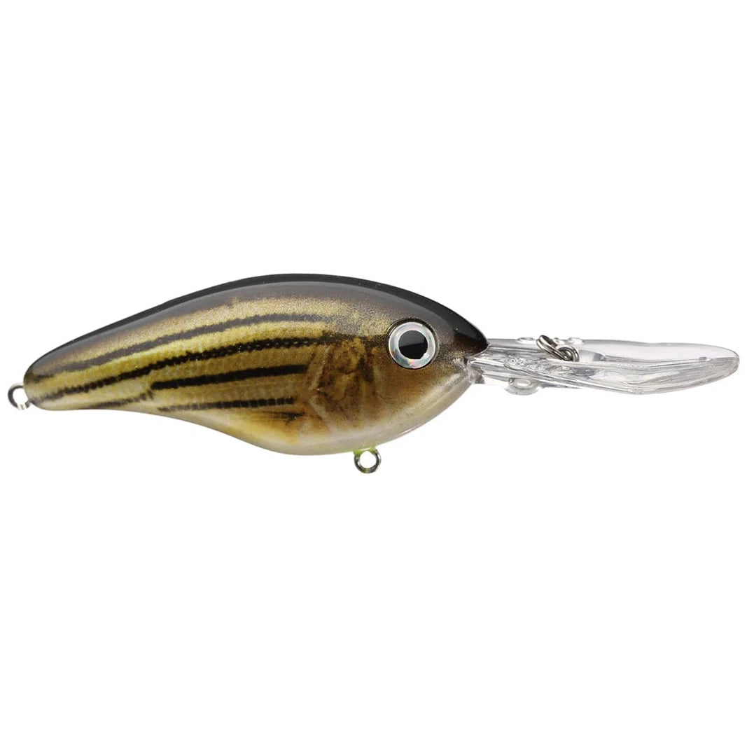 Strike King Pro Model 6XD Crankbait