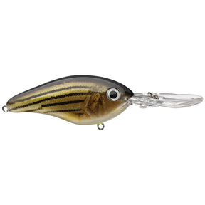 Strike King Pro Model 6XD Crankbait