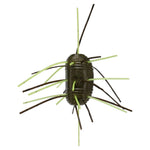 Green Pumpkin Chartreuse 