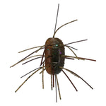 Green Pumpkin Amber Laminate 