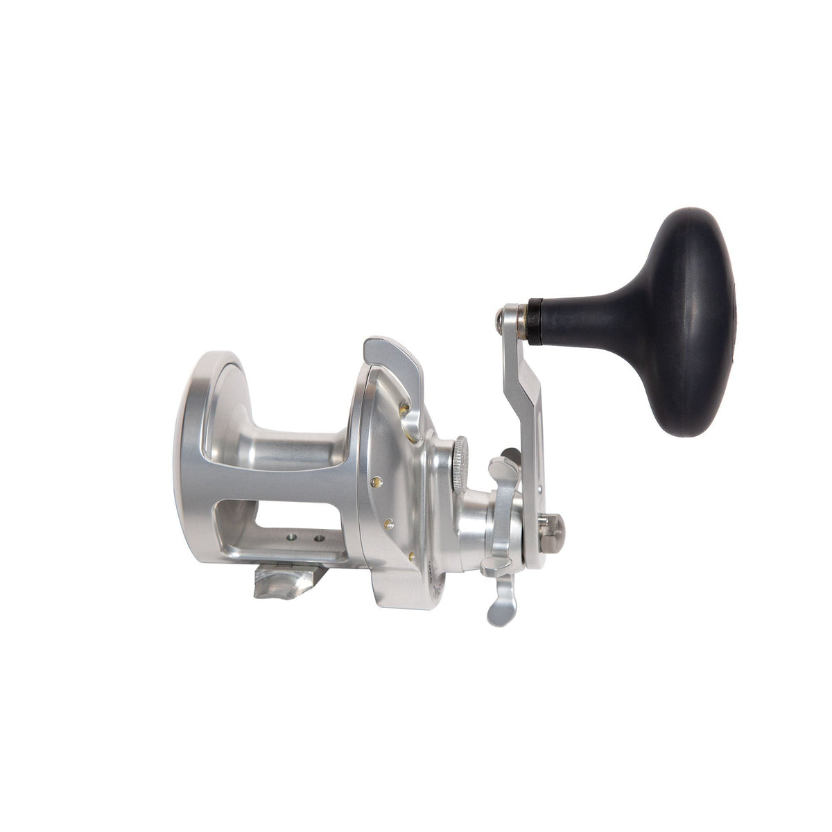 Accurate ReelsAccurate Tern 2 Conventional Star Drag Reels - Conventional Star Drag ReelsAccurate Tern 2 Conventional Star Drag ReelsTXD - 500X