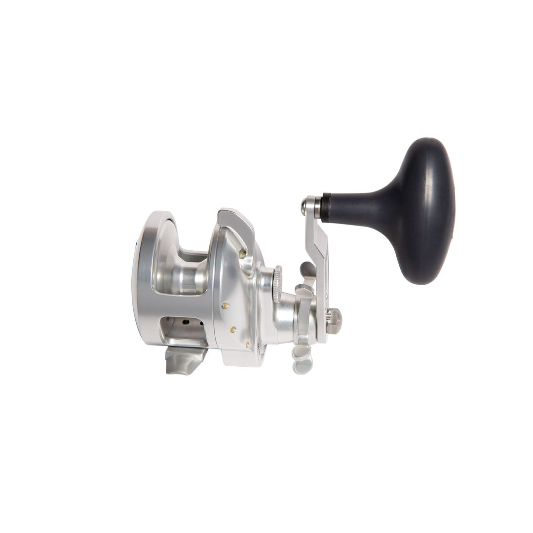 Accurate ReelsAccurate Tern 2 Conventional Star Drag Reels - Conventional Star Drag ReelsAccurate Tern 2 Conventional Star Drag ReelsTXD - 500XN