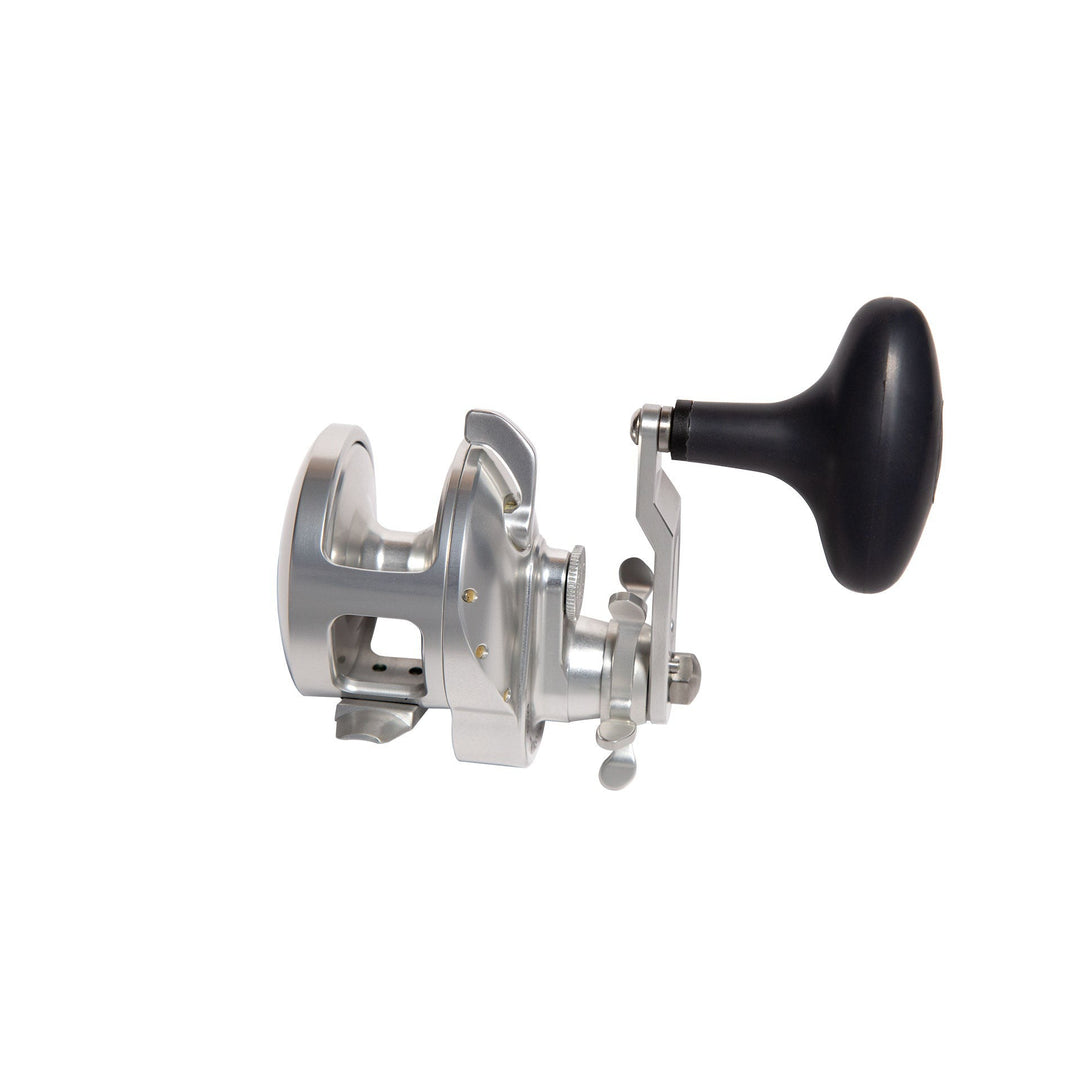 Accurate ReelsAccurate Tern 2 Conventional Star Drag Reels - Conventional Star Drag ReelsAccurate Tern 2 Conventional Star Drag ReelsTXD - 600XN