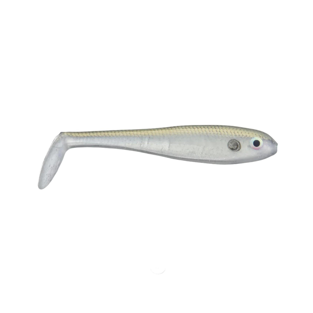 shad spawn
