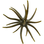 A realistic fishing lure designed to mimic a small sea anemone or starfish, featuring olive green and brown translucent tentacles with dark speckles on a solid white background.