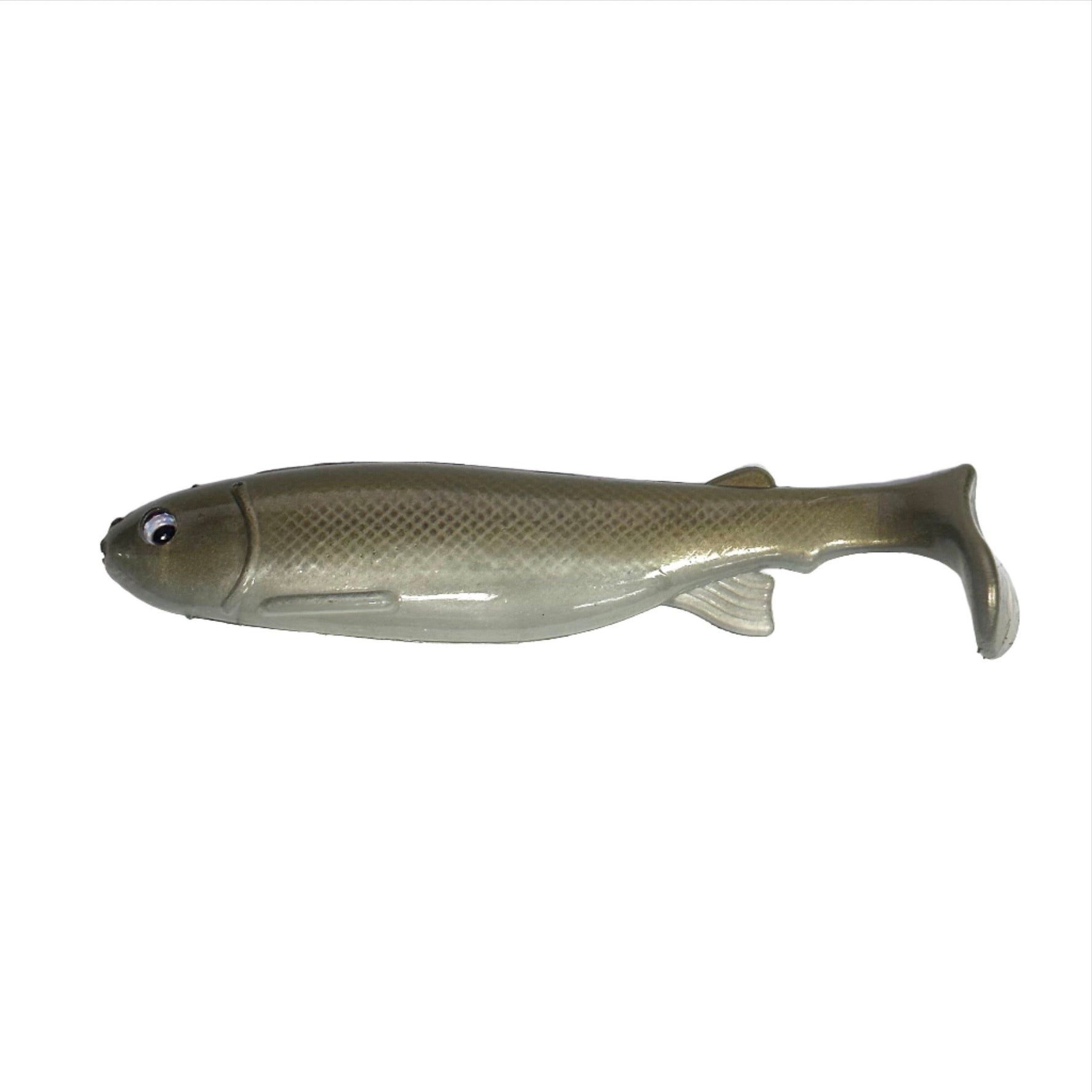 Bottom Dweller BaitsBottom Dweller Swimbait Painted Shiner6 - Soft Swimbaitsgolden shiner