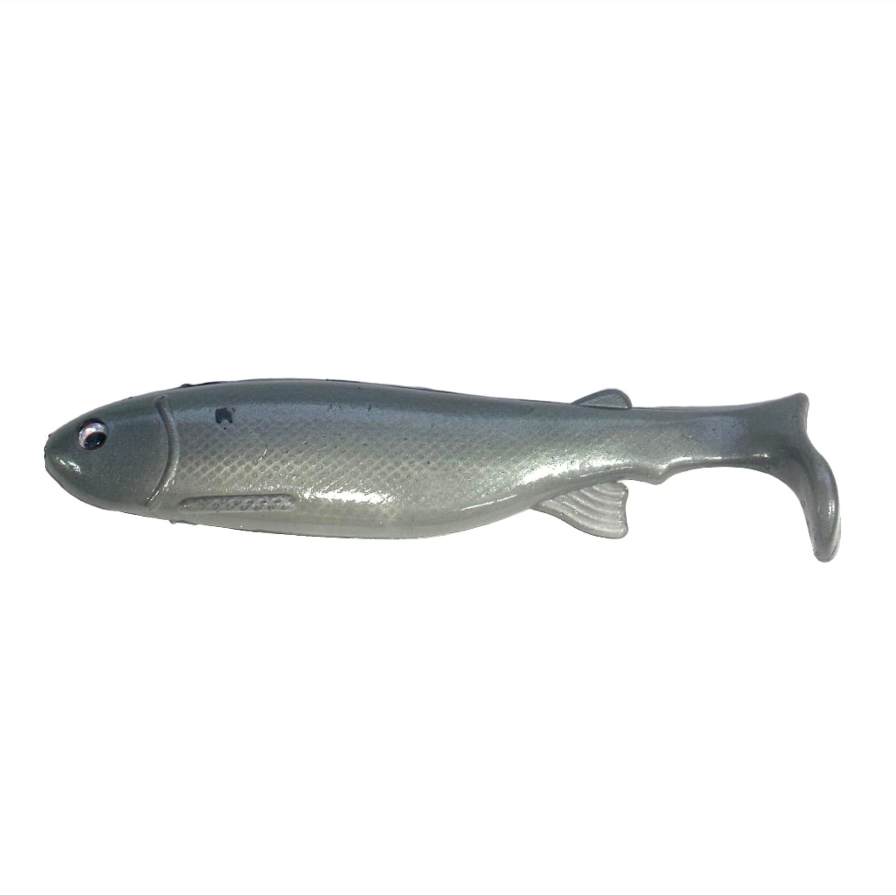 Bottom Dweller BaitsBottom Dweller Swimbait Painted Shiner6 - Soft Swimbaitsgizzard shad