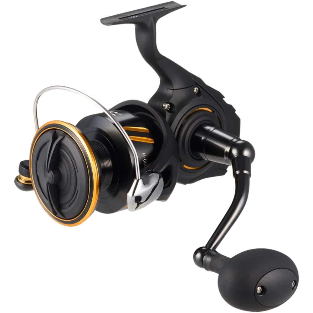 Daiwa BG SW Spinning Reel