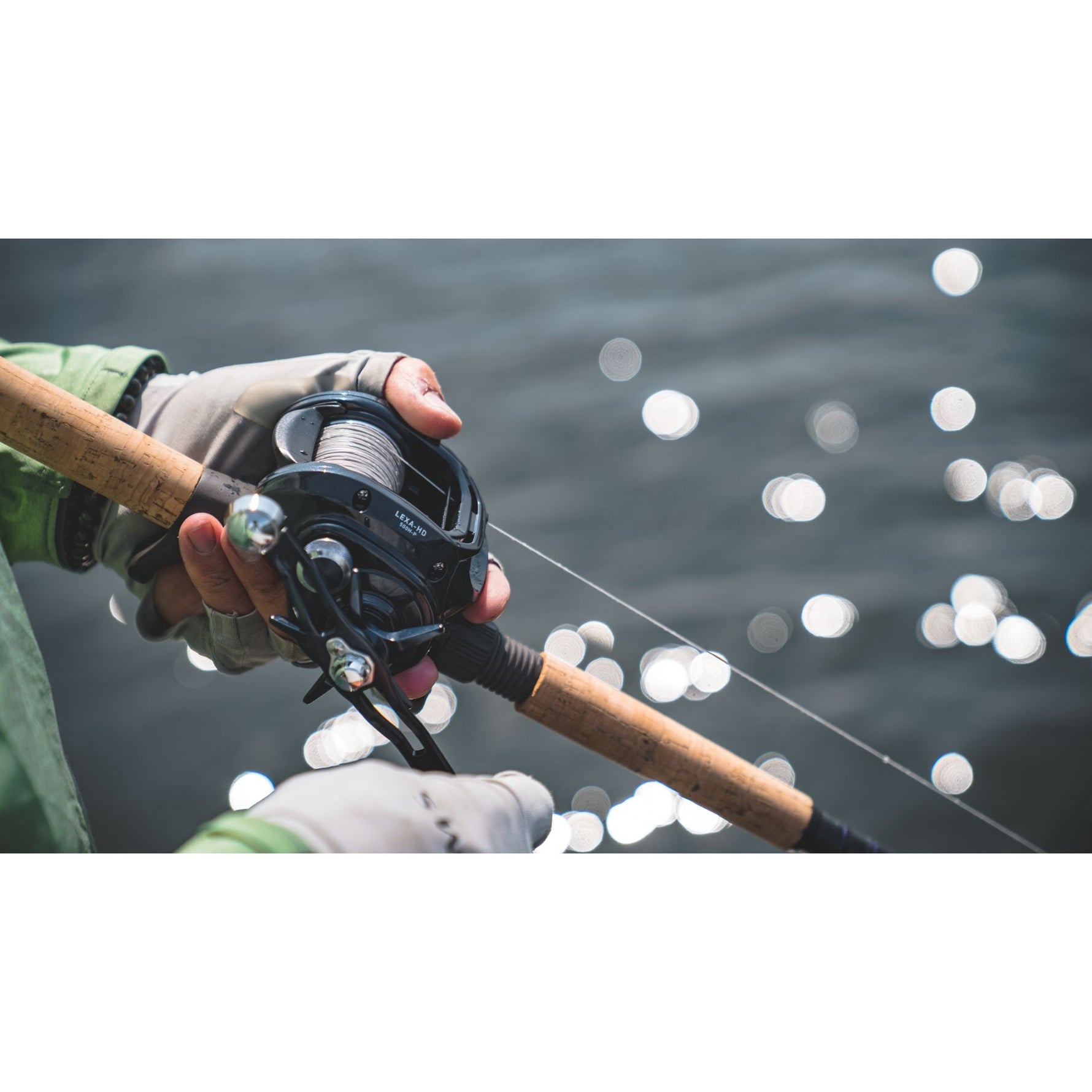 DaiwaDaiwa Lexa 500 HD Baitcasting Reel - Casting ReelsDaiwa Lexa 500 HD ReelLX - HD500P - P