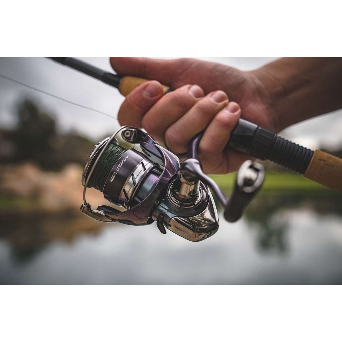 daiwa regal xia ultralight spinning combo 1000D-XH