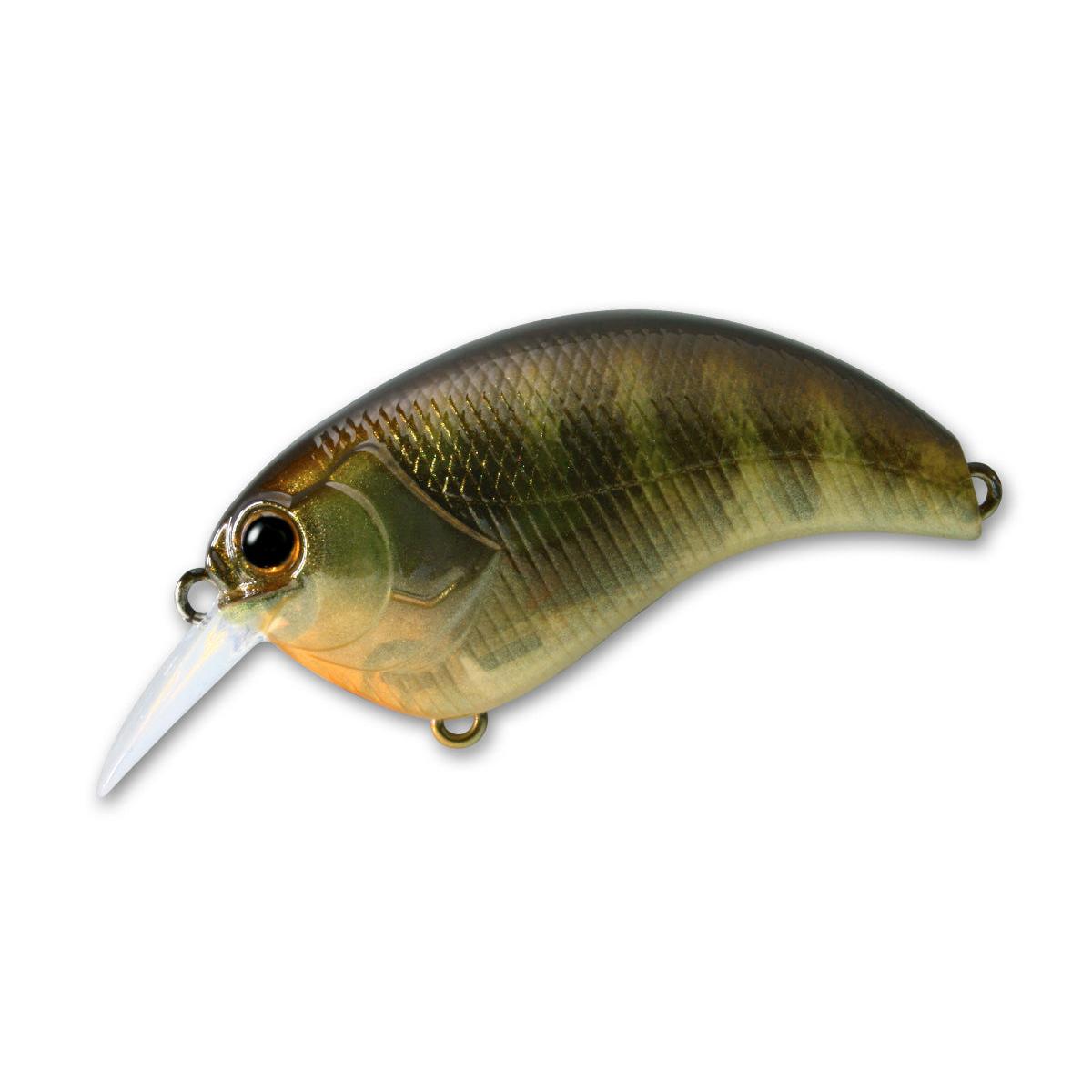Leurre Souple Deps Evoke 1,8 #16 – Griffe Olive, Neuf Sous Emballage