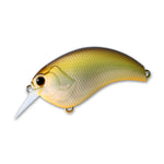 horizon shad