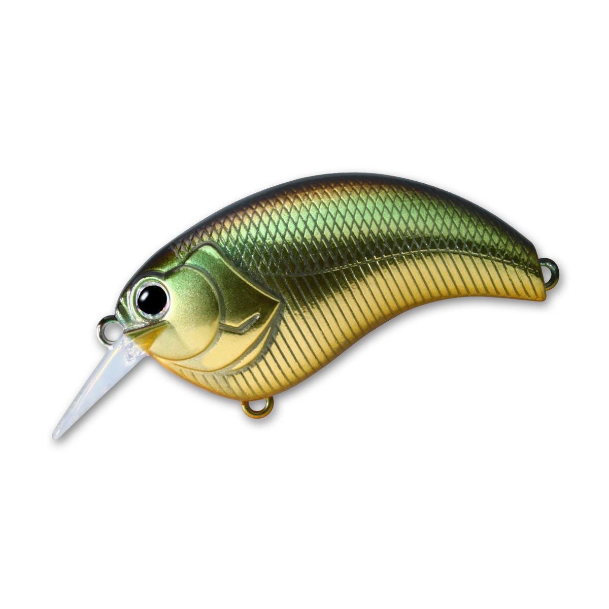 golden shiner