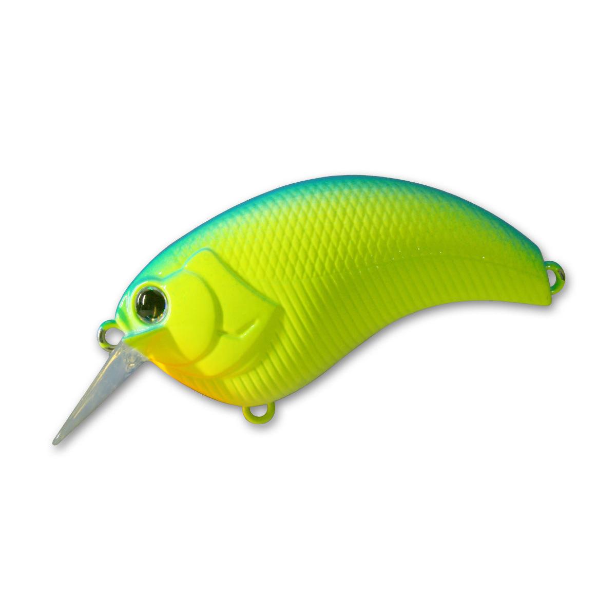 blue back chartreuse