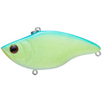 biwako shad