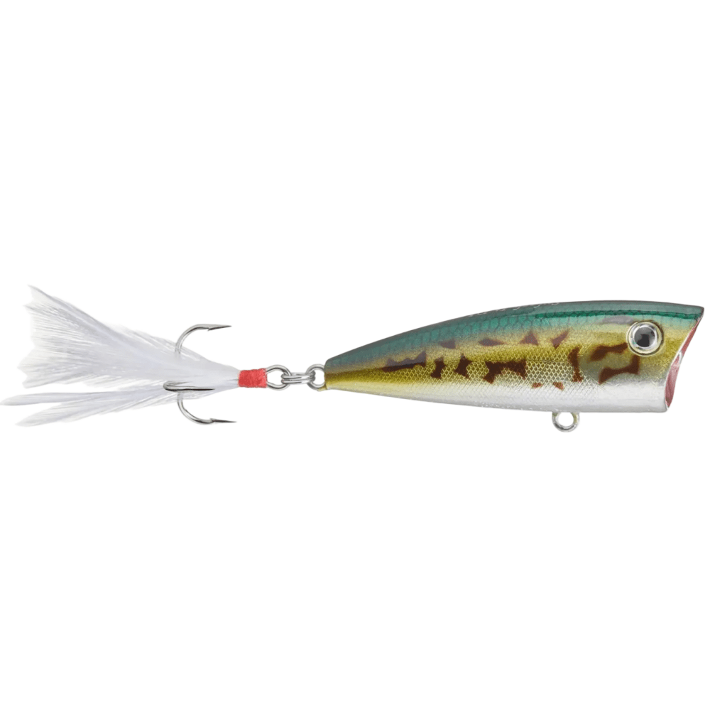 Don Iovino Splash-It Topwater Poppers