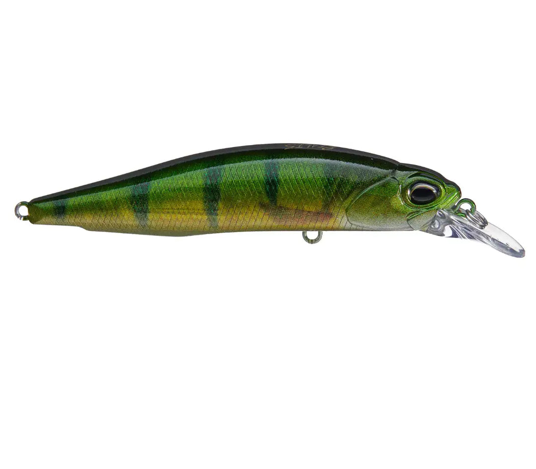 Green and black striped fishing lure on a white background