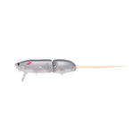 EvergreenEvergreen Combat Rat - Topwaterray flash 646CBR - GF - 646