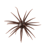 Hideup Coike Full Cast Urchin Bait