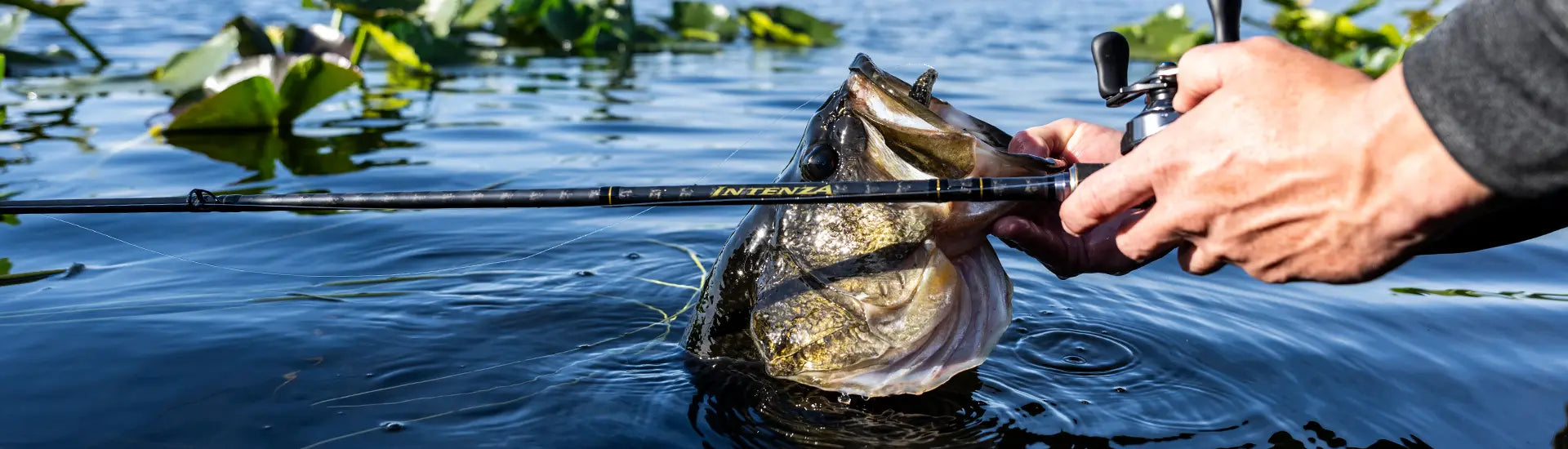 Person holding a fishing rod with a bass in water
