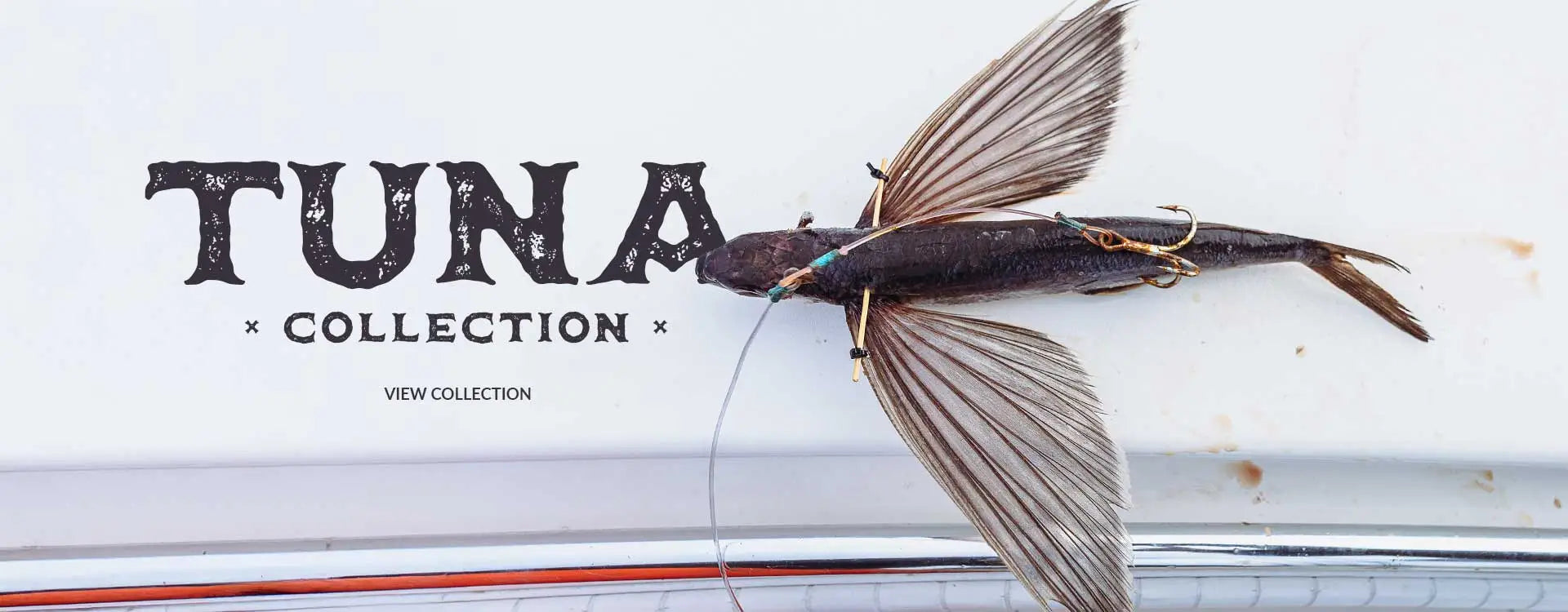 Flying fish on white background with text.