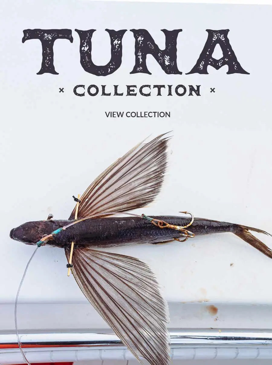 Fish on white background with tuna collection text
