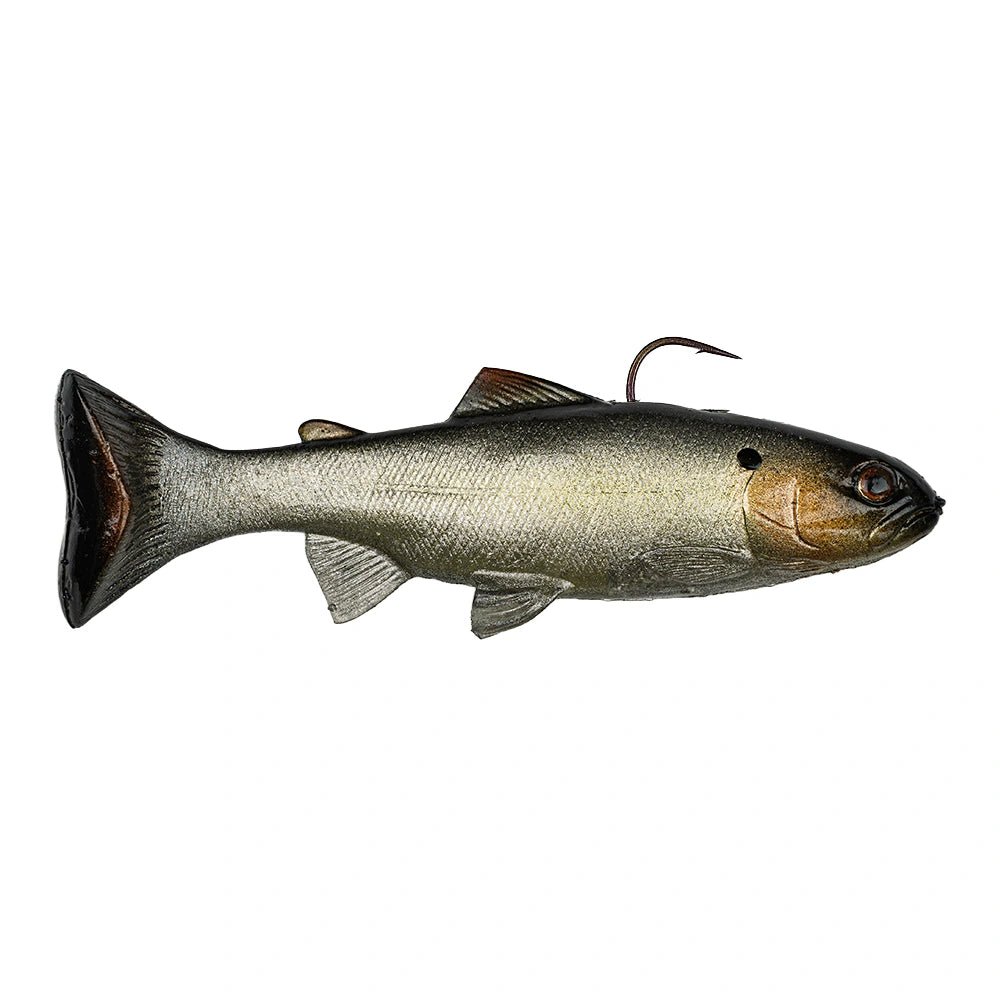 PRÉSENTATION RÉALISTE POUR baigneurs pêche à l'achigan 16 pièces appâts PRÉSENTATION RÉALISTE POUR baigneurs pêche à l'achigan 16 pièces appâts