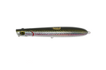 hatchery trout