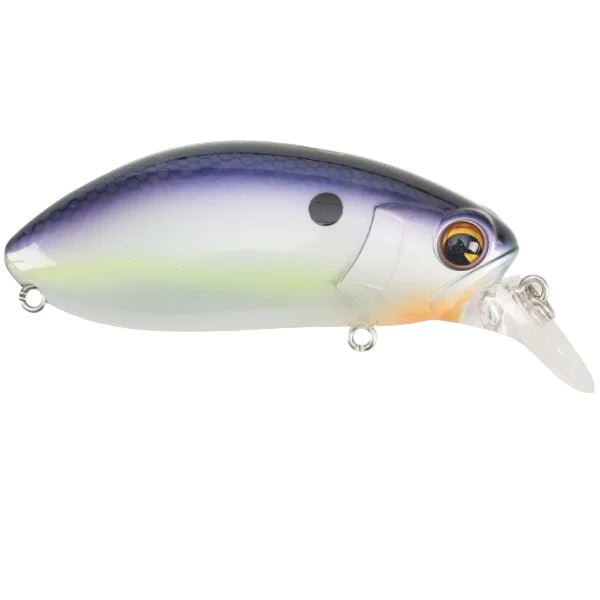 ImaIma Rattlin' Roumba Wakebait Topwater - Wake BaitBlue ShadRRA - 147