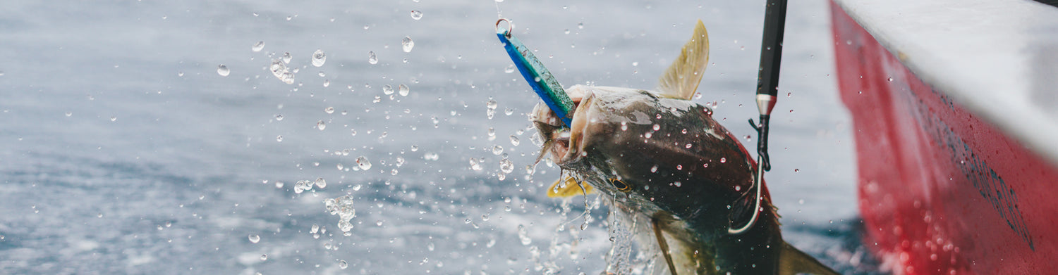 Fish leaping out of water with a gaff in the background