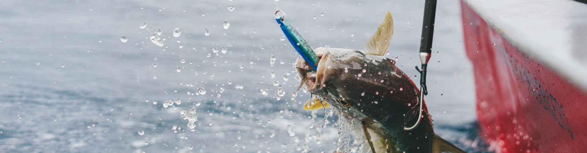 Fish leaping out of water with a gaff in the background