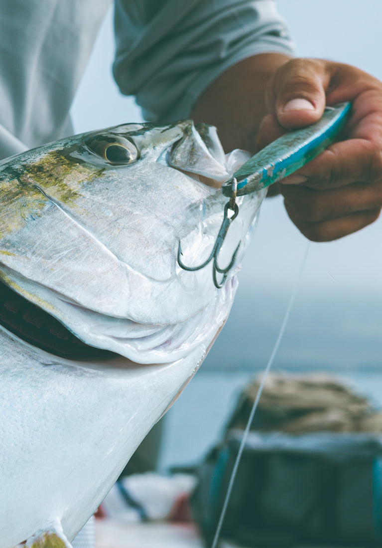 Person holding a large fish with a hook, blurred background