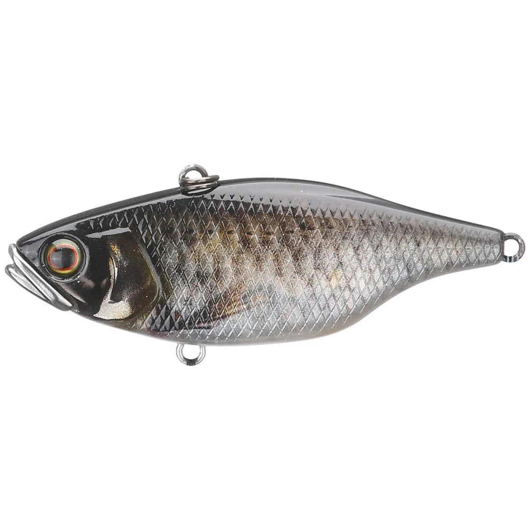 scale minnow