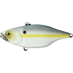 ss shad