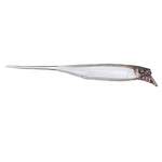 JackallJackall Driftfry - Shad Style Baitssilver shadJDRFRY3 - SILS