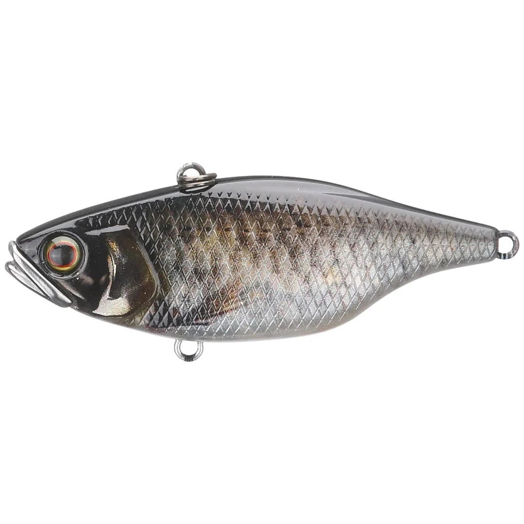 JackallJackall TN 60 Lipless Crankbait - Lipless Crankbaitscale minnowJTN60 - RTSM