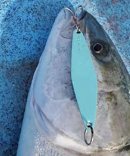 A mint JRI 3 fishing lure with a split ring and hook, shown attached to a fish head on a textured blue surface.
