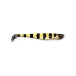 Kicker FishingKicker Pickle Kick Swimbaits PK - 3 - Soft SwimbaitsconvictPK - 3 - CON