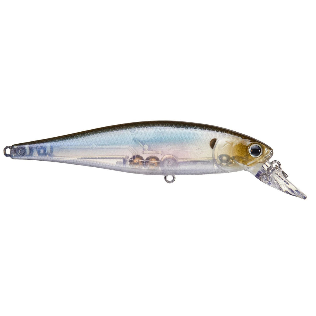 ghost minnow