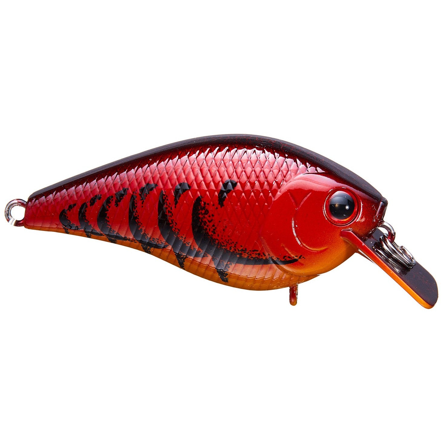 all spring craw