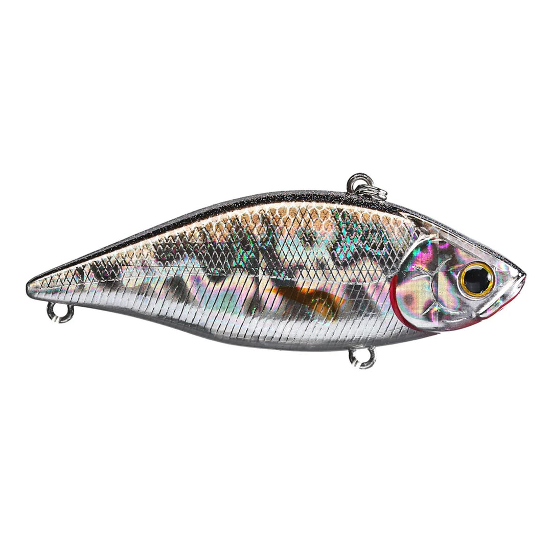 bp golden shiner
