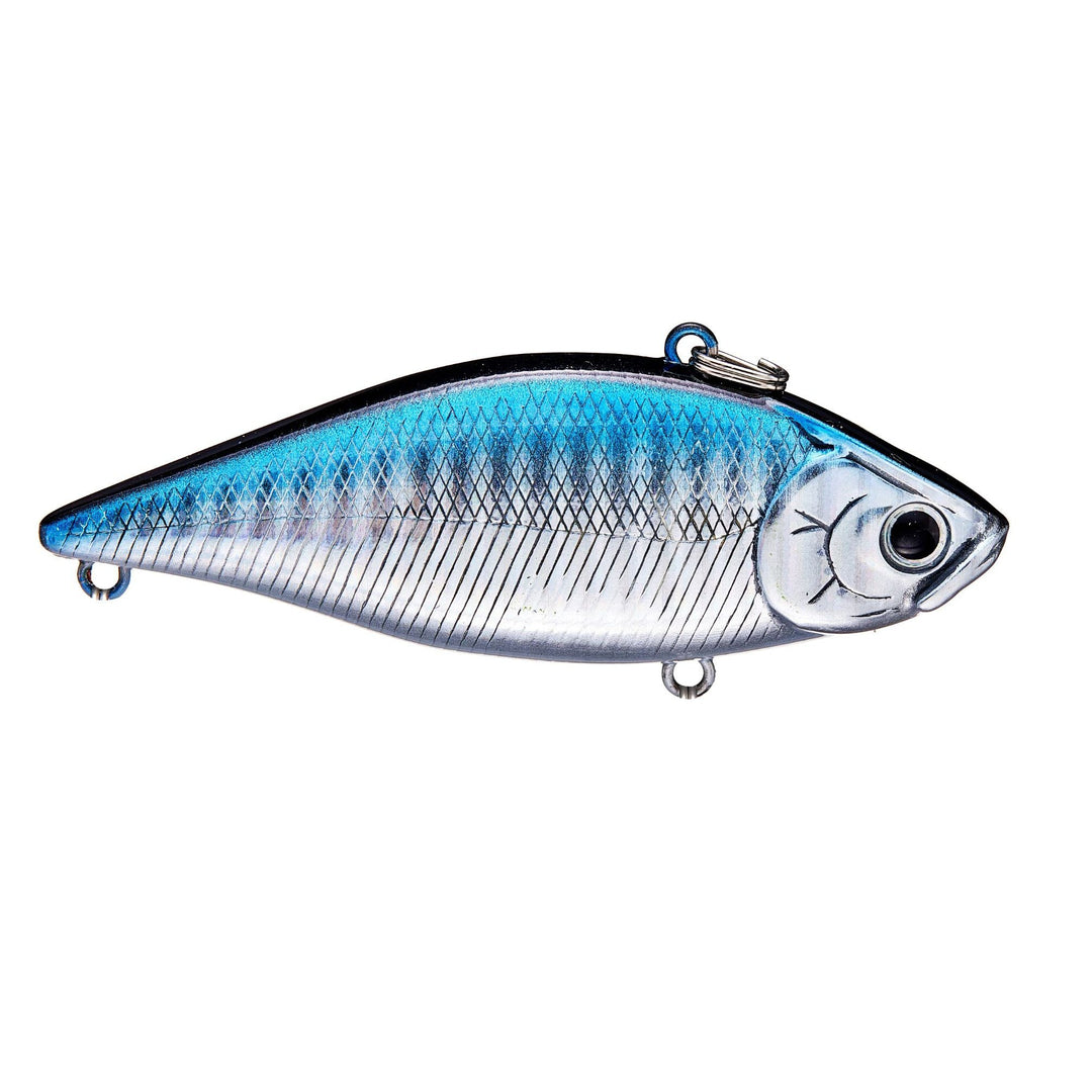 zebra aurora black
