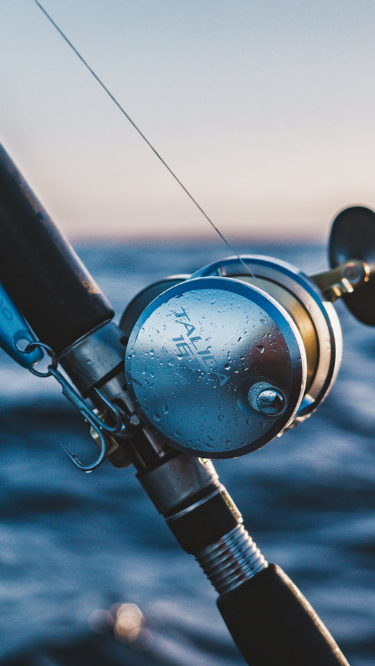 Fishing rod with reel over a blurred ocean background