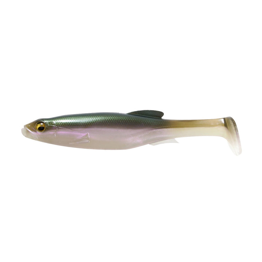 borealis shad