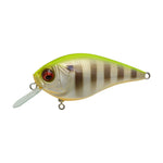 MegabassMegabass Knuckle LD - CrankbaitPM Hot GillMGBS - KNKLE - PMHTGL